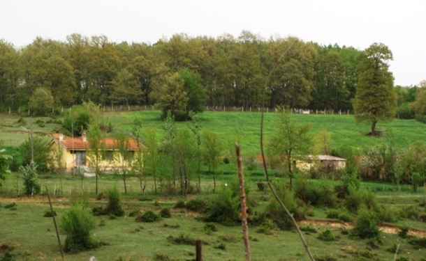 DSC01112.JPG