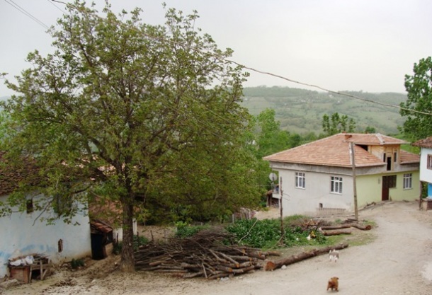 DSC01172.JPG