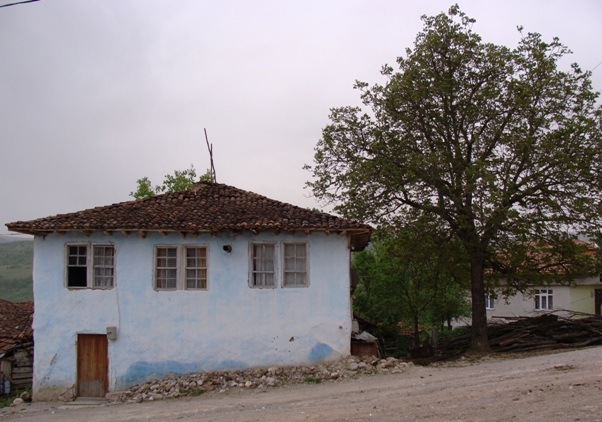 DSC01177.JPG