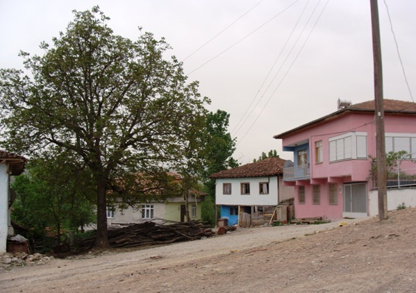 DSC01178.JPG