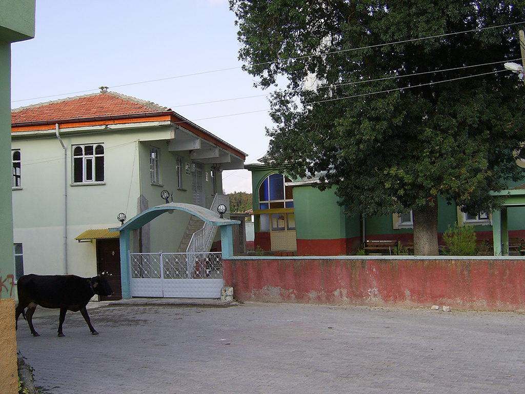 DIGITAL CAMERA