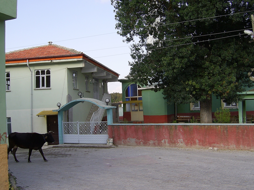 DIGITAL CAMERA